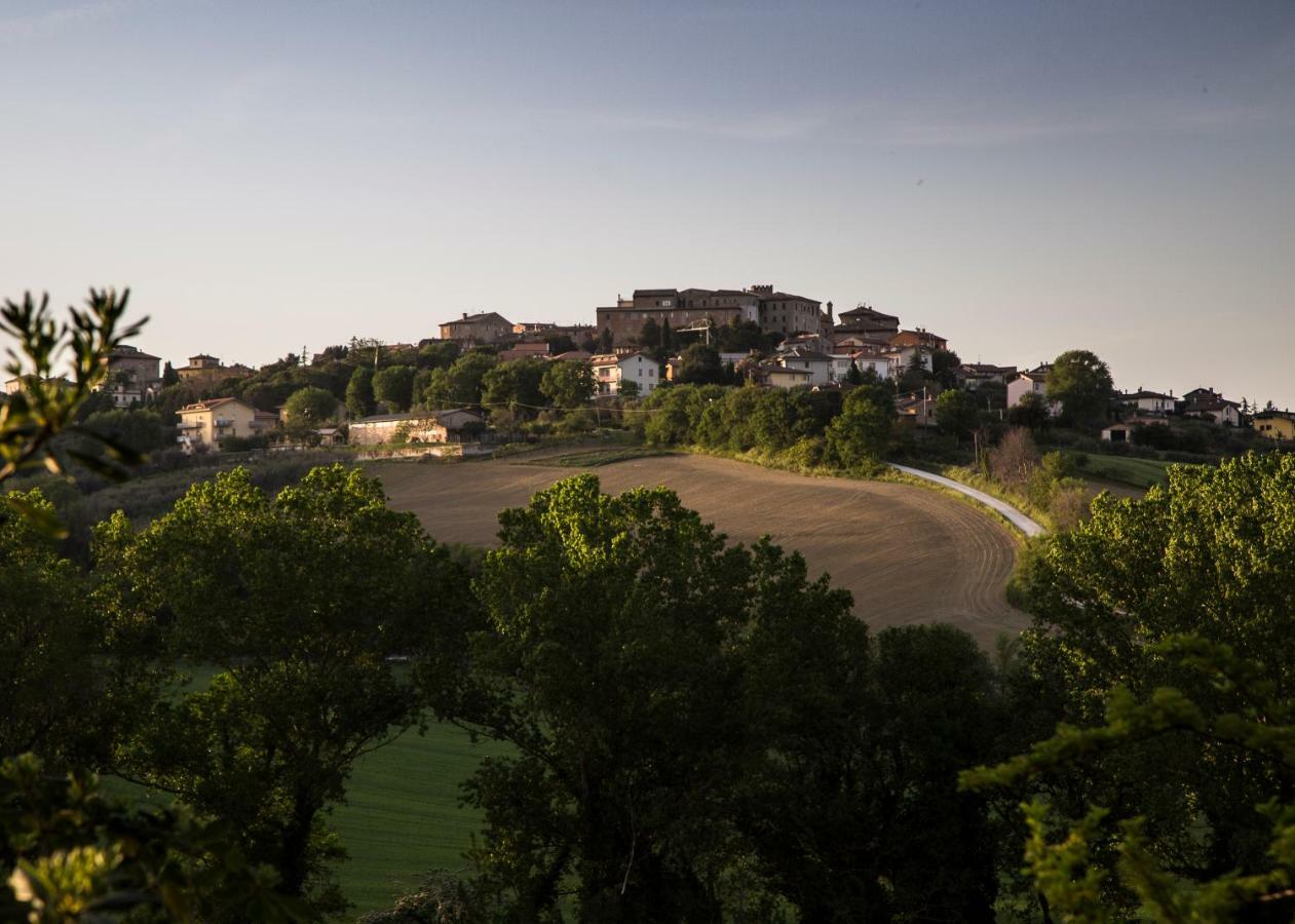 Grande Villa Storica Per Vacanze Con Giardino Privato E Piscina Ostra Экстерьер фото