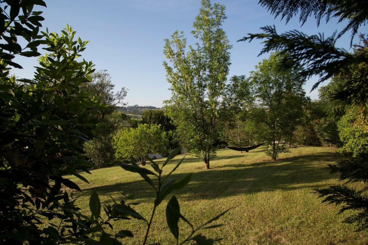 Grande Villa Storica Per Vacanze Con Giardino Privato E Piscina Ostra Экстерьер фото