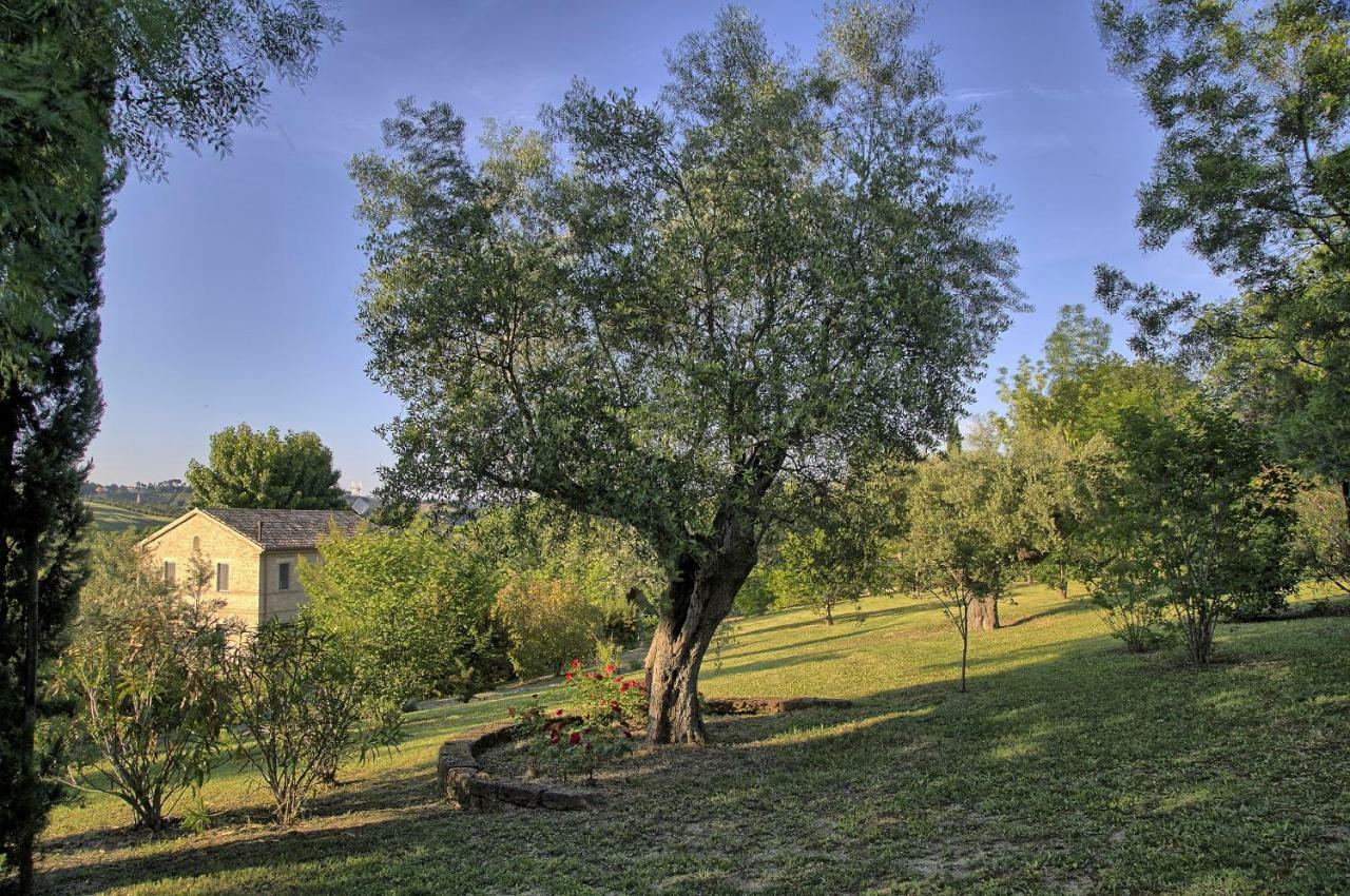 Grande Villa Storica Per Vacanze Con Giardino Privato E Piscina Ostra Экстерьер фото