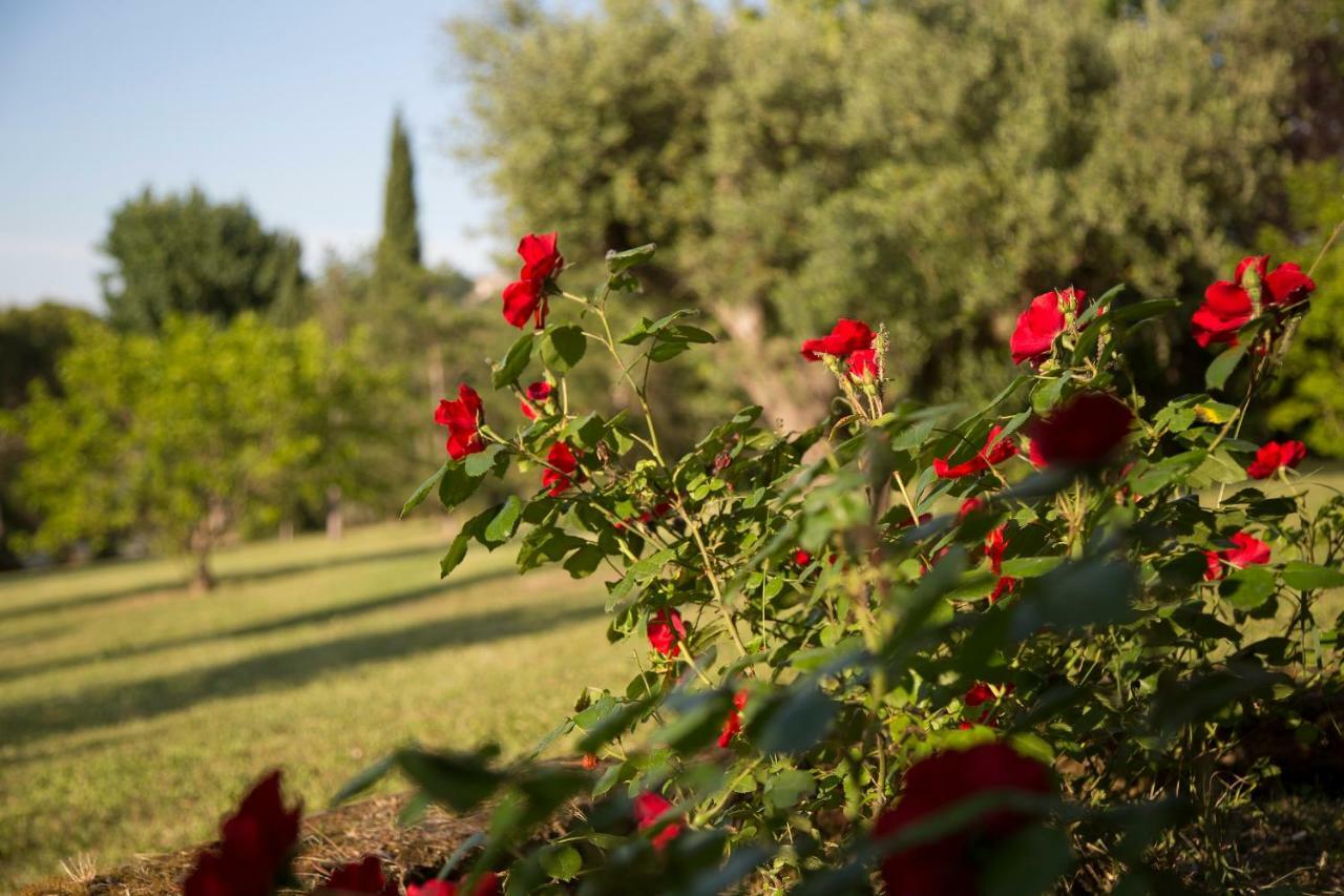 Grande Villa Storica Per Vacanze Con Giardino Privato E Piscina Ostra Экстерьер фото